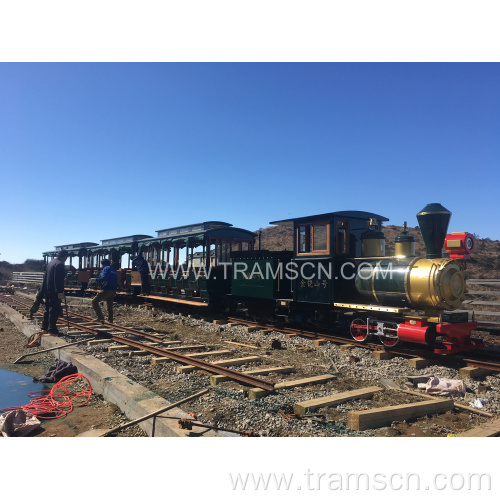 Diesel Sightseeing Trains with Two Wagons